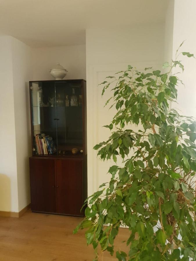 Appartement Cosy Parc Thermal Thonon-les-Bains Esterno foto